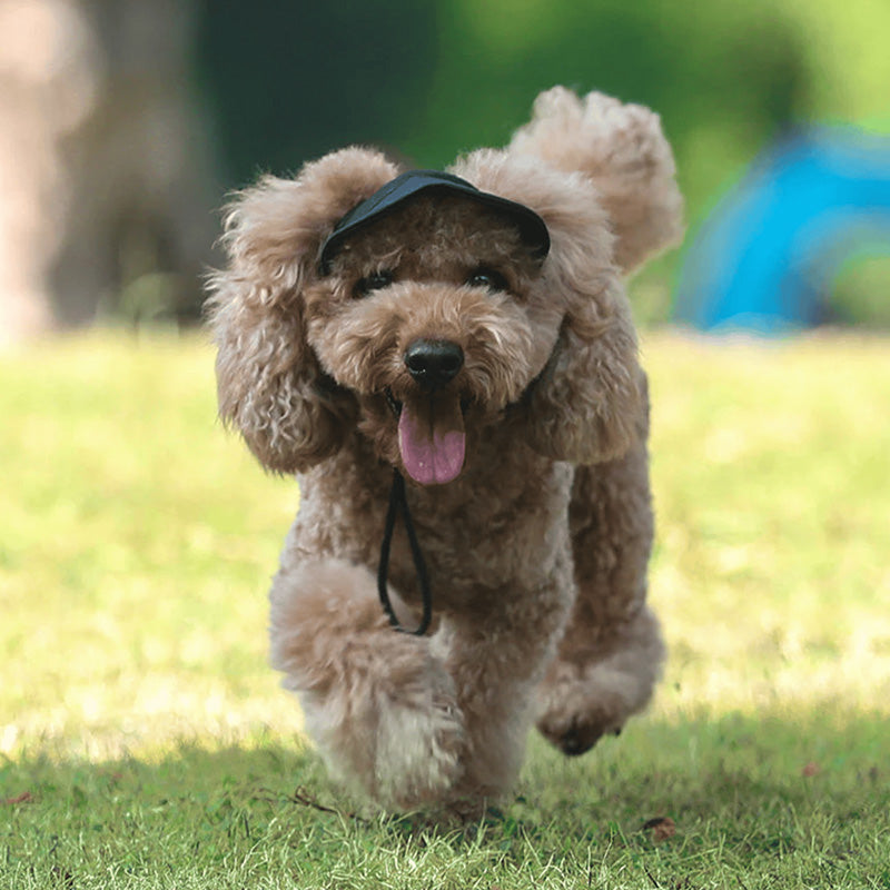 PawChic™ – Chapeau de Soleil pour Chiens
