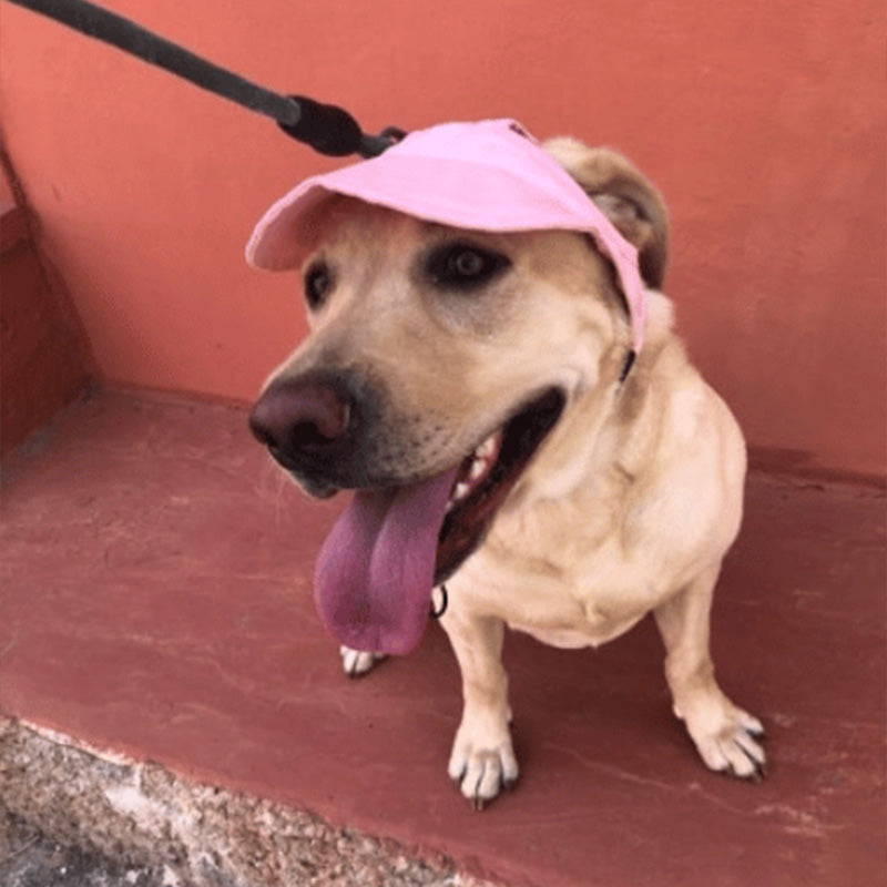PawChic™ – Chapeau de Soleil pour Chiens