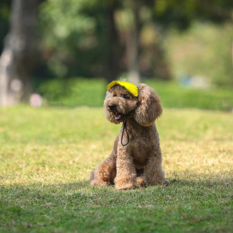 PawChic™ – Chapeau de Soleil pour Chiens