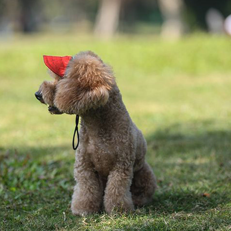 PawChic™ – Chapeau de Soleil pour Chiens