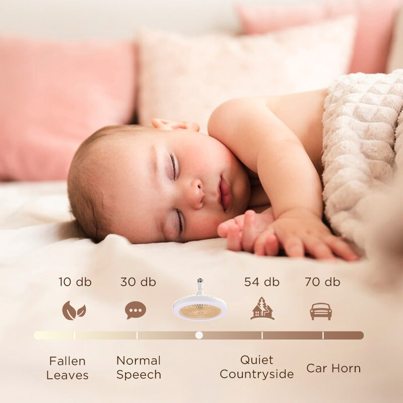 LumiBreeze™ – Ventilateur de Plafond Intelligent avec Éclairage