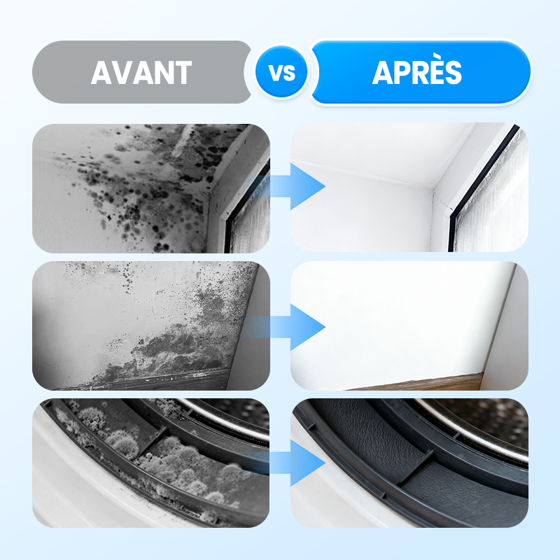 Mouldrexia™ – Spray Anti-Moisissures Haute Performance pour Murs et Surfaces