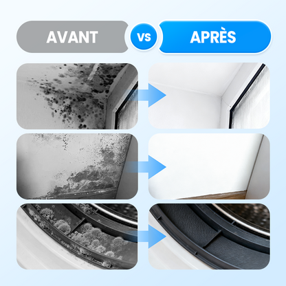 Mouldrexia™ – Spray Anti-Moisissures Haute Performance pour Murs et Surfaces