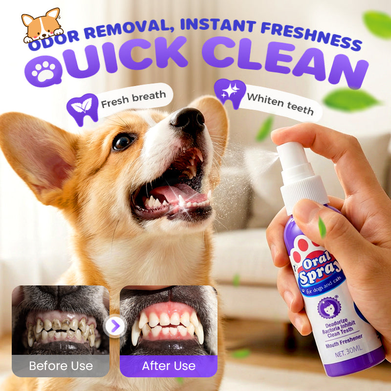 Dentévia™ Spray Buccal Naturel pour Animaux | 1+2 GRATUIT