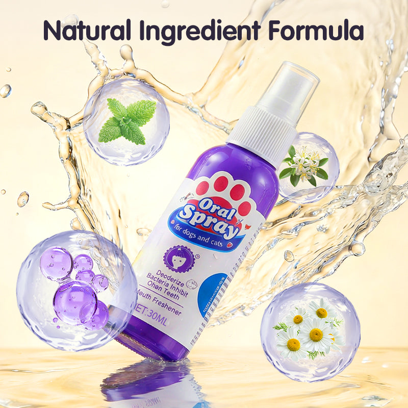 Dentévia™ Spray Buccal Naturel pour Animaux | 1+2 GRATUIT