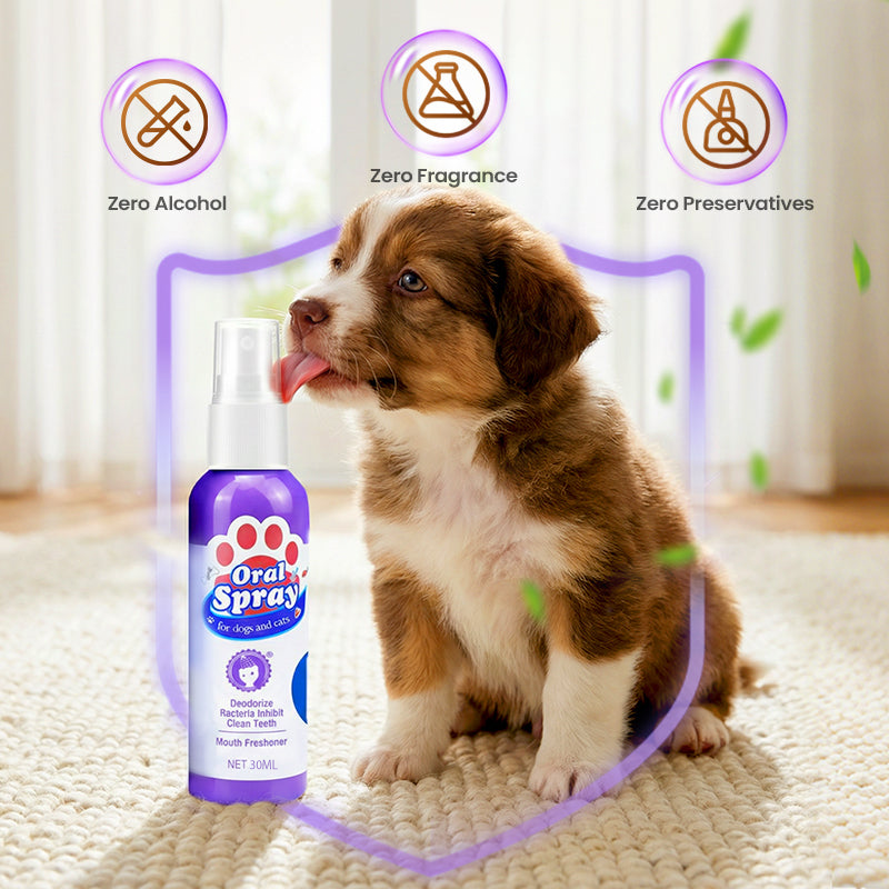 Dentévia™ Spray Buccal Naturel pour Animaux | 1+2 GRATUIT