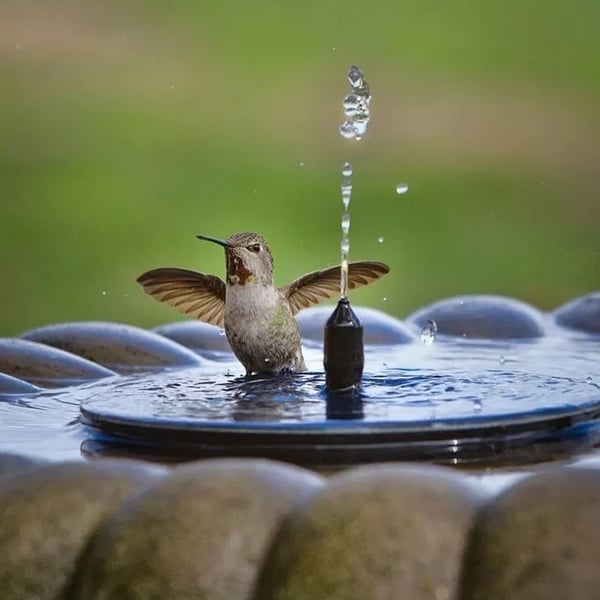 Aquasolys™ Fontaine Solaire de Jardin – Élégance Naturelle