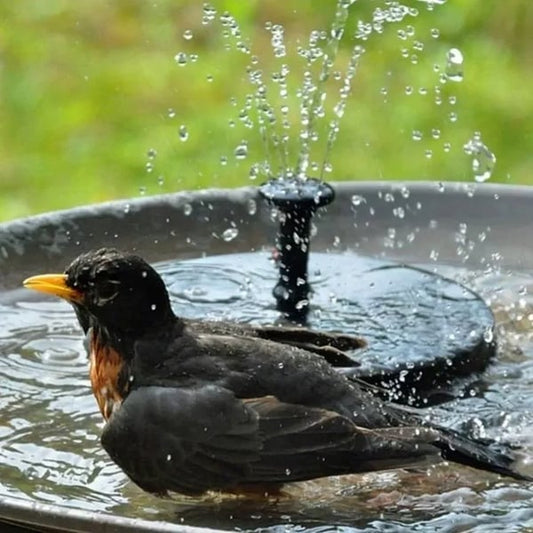 Aquasolys™ Fontaine Solaire de Jardin – Élégance Naturelle