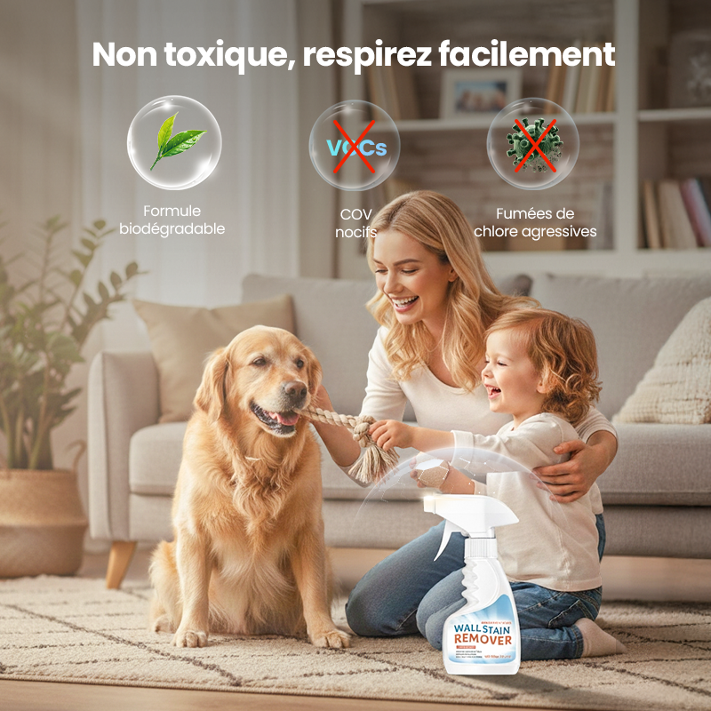 Mouldrexia™ – Spray Anti-Moisissures Haute Performance pour Murs et Surfaces