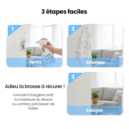 Mouldrexia™ – Spray Anti-Moisissures Haute Performance pour Murs et Surfaces