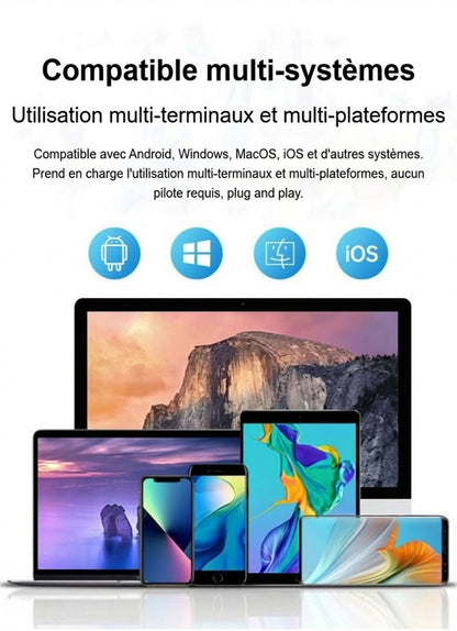 Datafino™ SlimVault – SSD Portable Haute Capacité