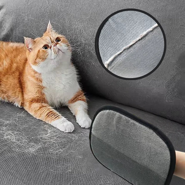 Purrfect | Dites adieu au chaos capillaire à la maison | 1+1 GRATUIT