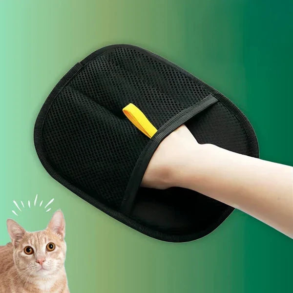 Purrfect | Dites adieu au chaos capillaire à la maison | 1+1 GRATUIT