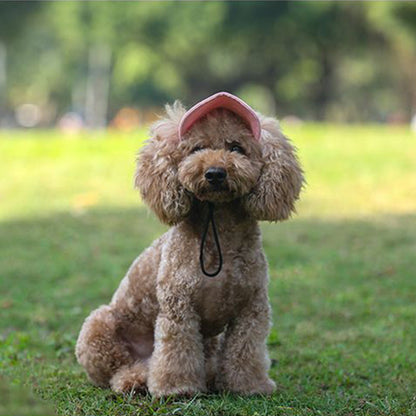 PawChic™ – Chapeau de Soleil pour Chiens