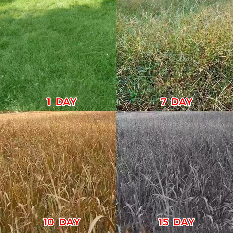 HerbiPro™ Désherbant Concentré Puissant