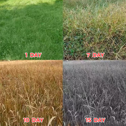 HerbiPro™ Désherbant Concentré Puissant