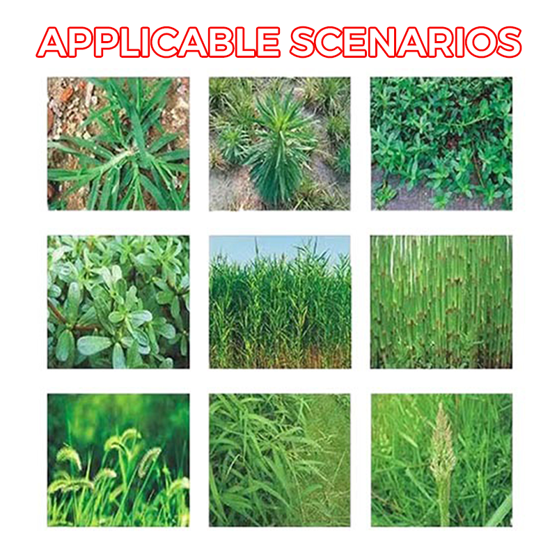 HerbiPro™ Désherbant Concentré Puissant