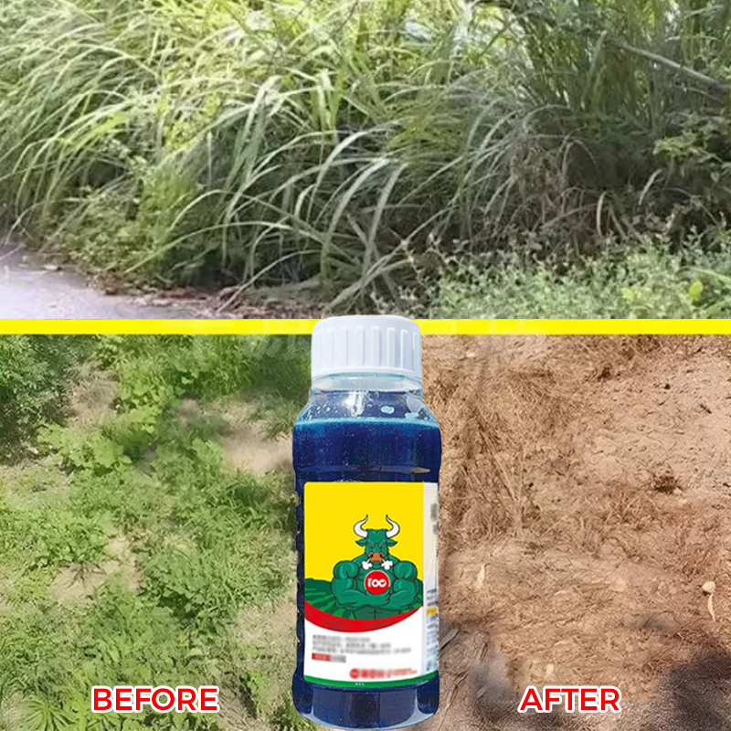 HerbiPro™ Désherbant Concentré Puissant