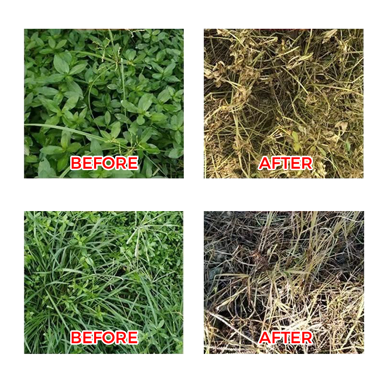 HerbiPro™ Désherbant Concentré Puissant