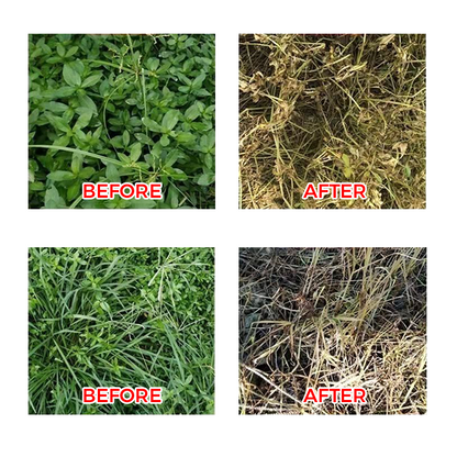 HerbiPro™ Désherbant Concentré Puissant
