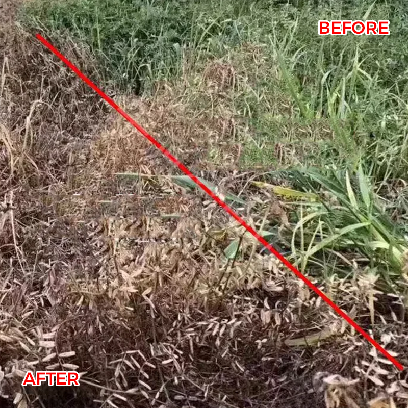 HerbiPro™ Désherbant Concentré Puissant
