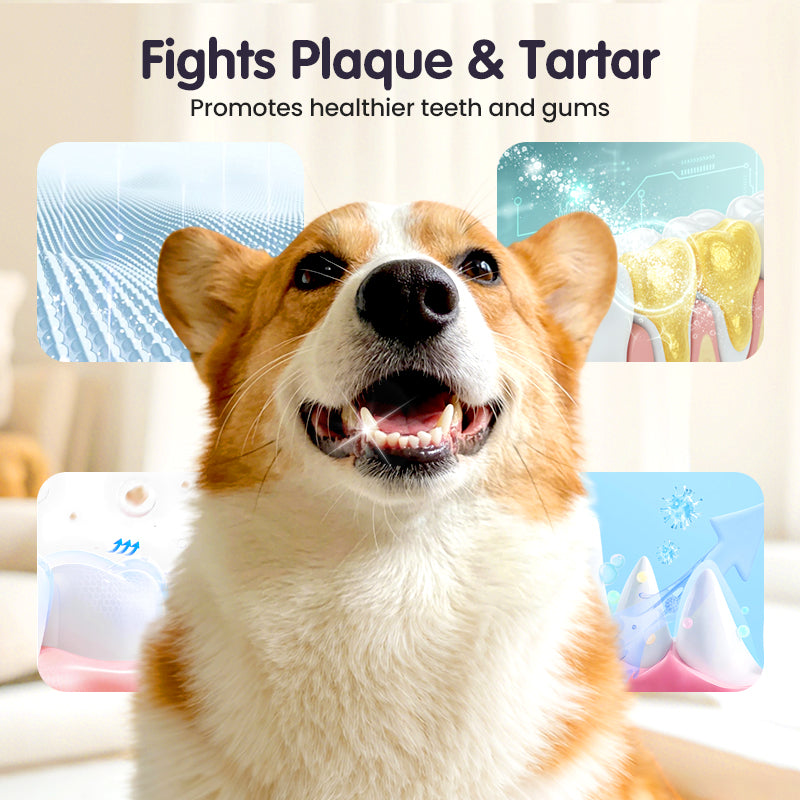 Dentévia™ Spray Buccal Naturel pour Animaux | 1+2 GRATUIT