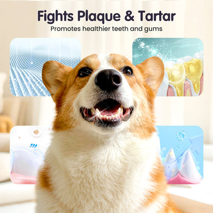 Dentévia™ Spray Buccal Naturel pour Animaux | 1+2 GRATUIT
