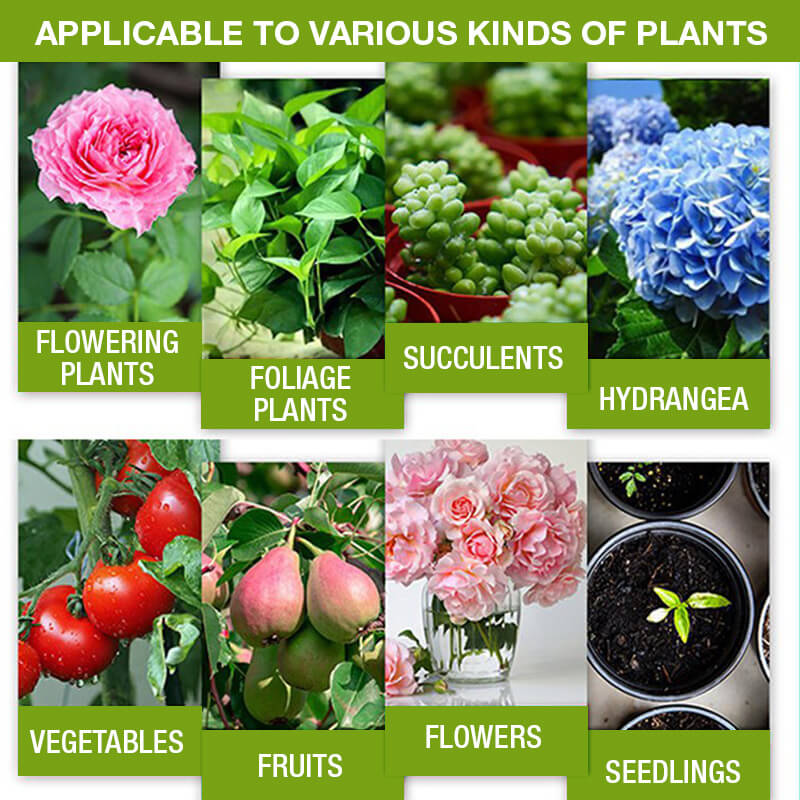 Rootélia™ - Croissance Naturelle & Soin des Plantes | 1+2 GRATUIT