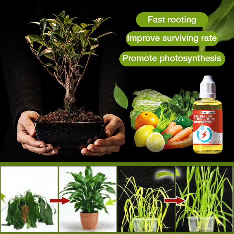Rootélia™ - Croissance Naturelle & Soin des Plantes | 1+2 GRATUIT