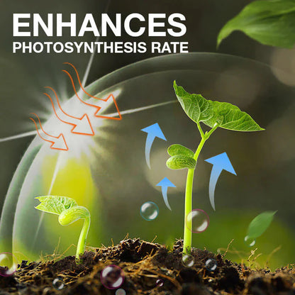 Rootélia™ - Croissance Naturelle & Soin des Plantes | 1+2 GRATUIT