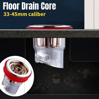 Drainova™ Filtre de Drain & Anti-Odeur | 1+1 GRATUIT